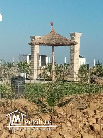 ارض للبيع في منطقة الدويخله