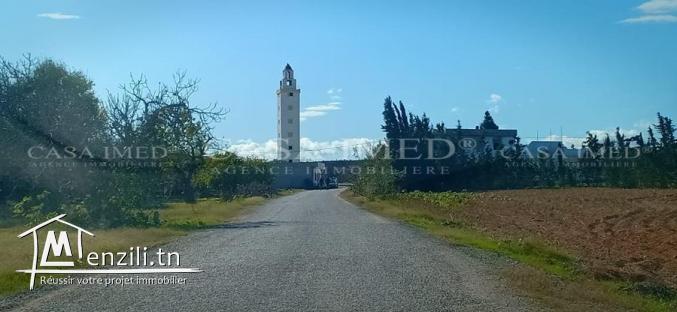 ارض للبيع في منطقة الدويخله