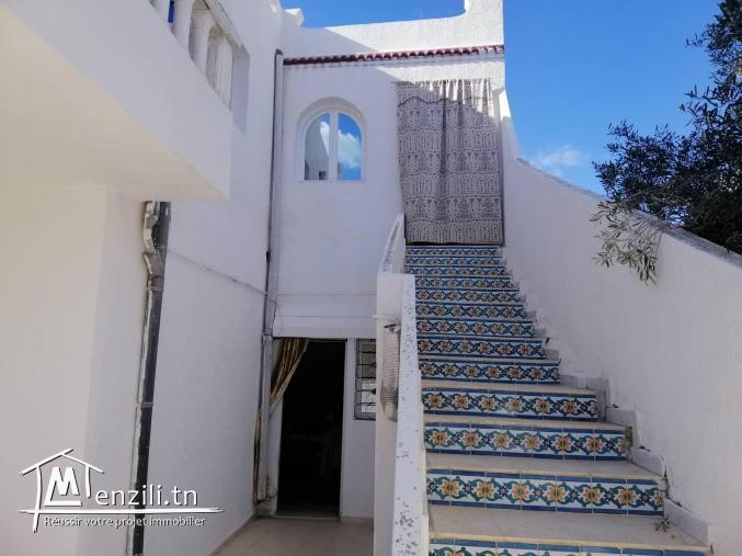 villa a vendre a hammamet centre
