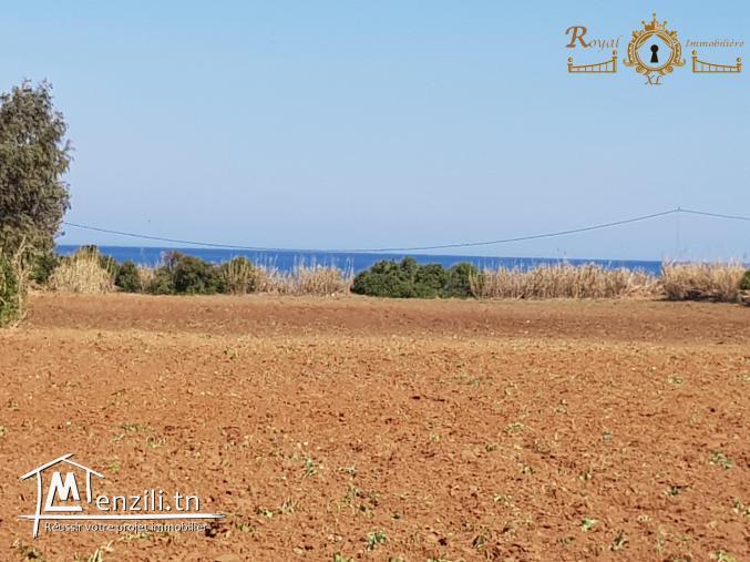 terrain à Dar llouche