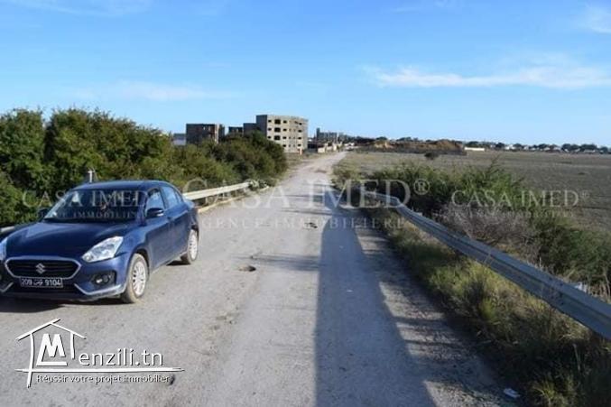 Un Terrain à Jinan El Hammamet