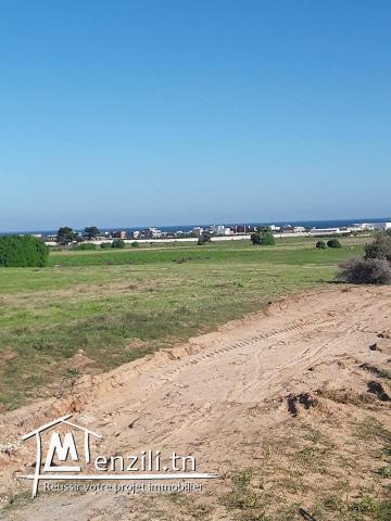 Terrain constructible vue sur mer à Kélibia kerkouane