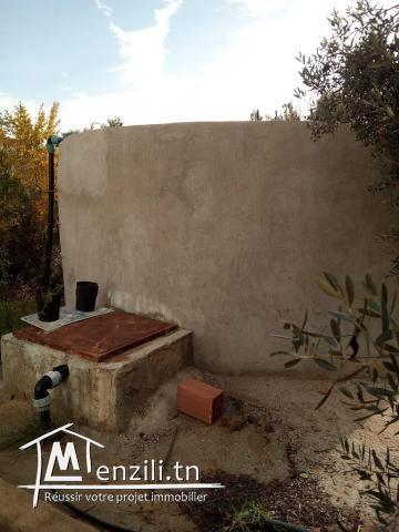 Maison sur terrain agricole