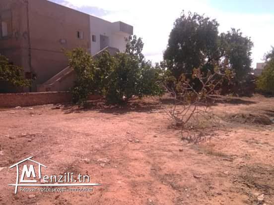 للبيع قطعة أرض مساحتها 650  متر مربع