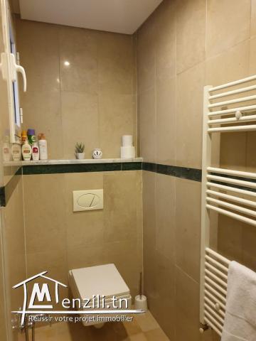 Bel appartement  meublé