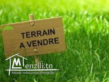 Terrain citè elwafa ariana