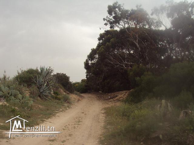 terrain à vendre de 373 m2