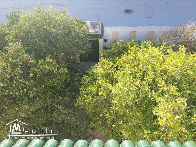 a vendre spacieuse villa