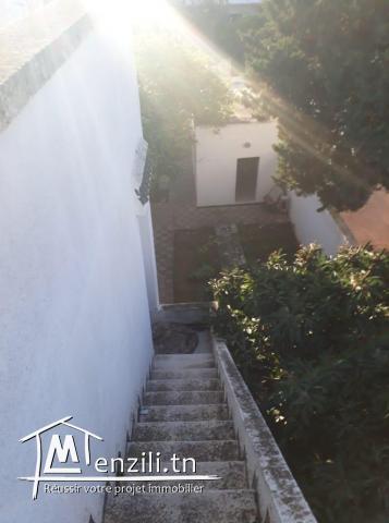 a vendre spacieuse villa