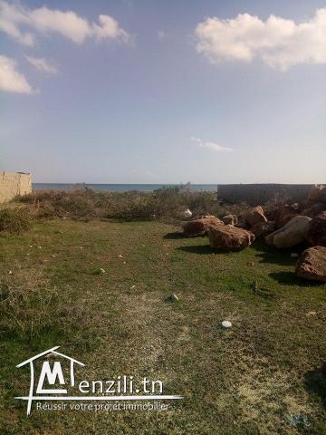 terrain pied dans l'eau