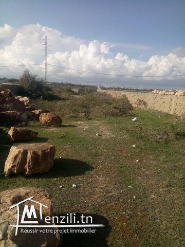 terrain pied dans l'eau