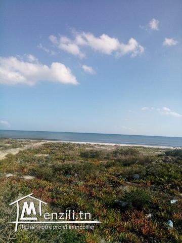 terrain pied dans l'eau