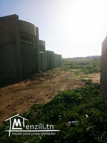terrain à asem route mansoura