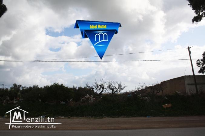 Terrain commerciale a kelibia