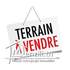 Terrain de 1000m² à Hammamet Sud