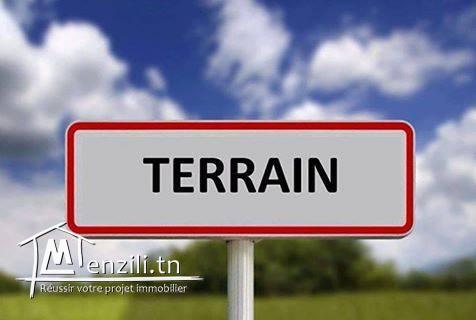 Terrain à vendre a  fetou