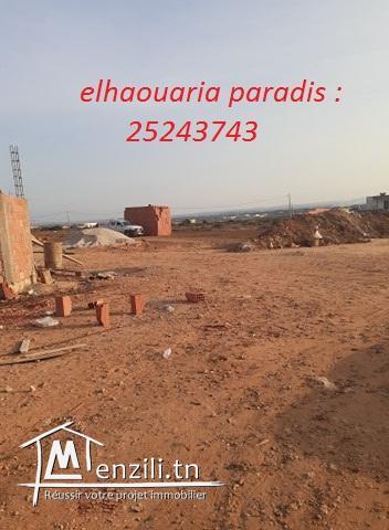 Des terrains a Elhaouaria vue de mer