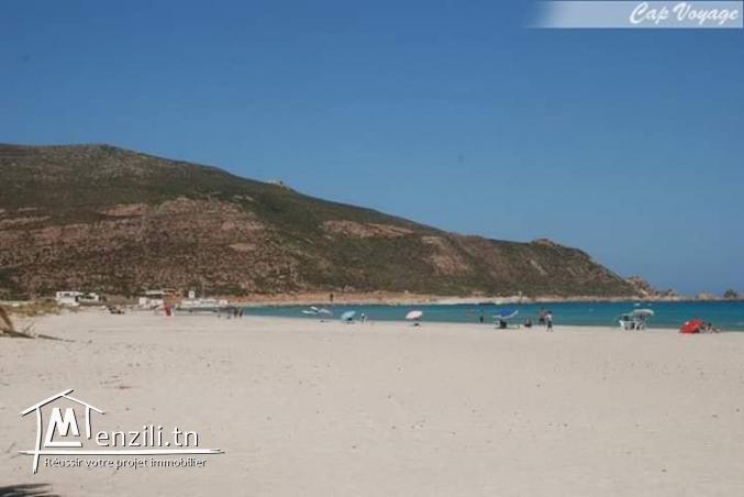 des terrains a chat l9ibli el haouaria vue de mer