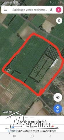 سانية سقوي للبيع في الهوارية قريبة للكياس