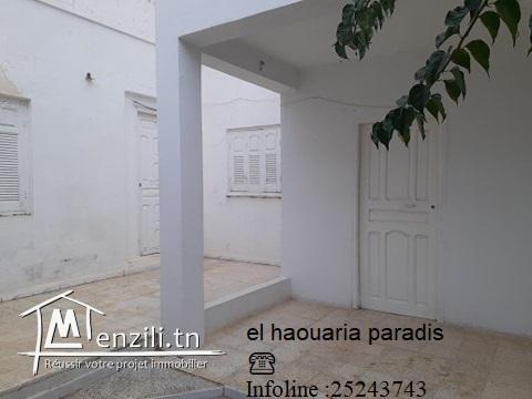 Deux maisons de style traditionnel au centre ville el haouaria