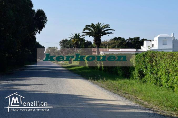 un beau terrain vue mer à kerkouan-kélibia