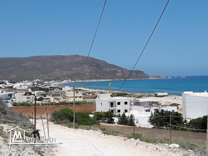 beau terrain a hawaria