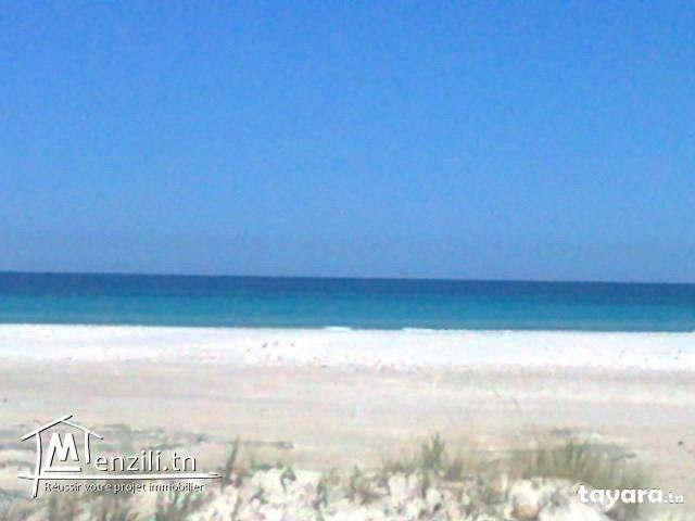 terrain front de mer sable blanc bon voisinage