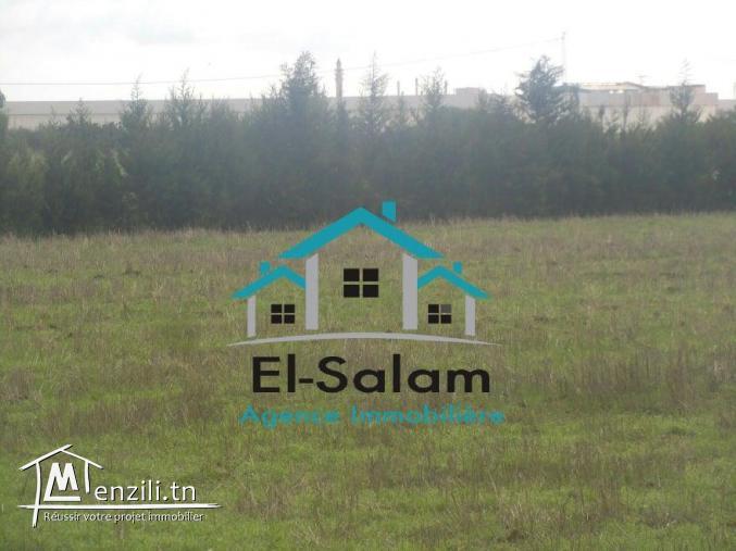 terrain dar allouch sur la goudrenée avenc un maison garaget et puits