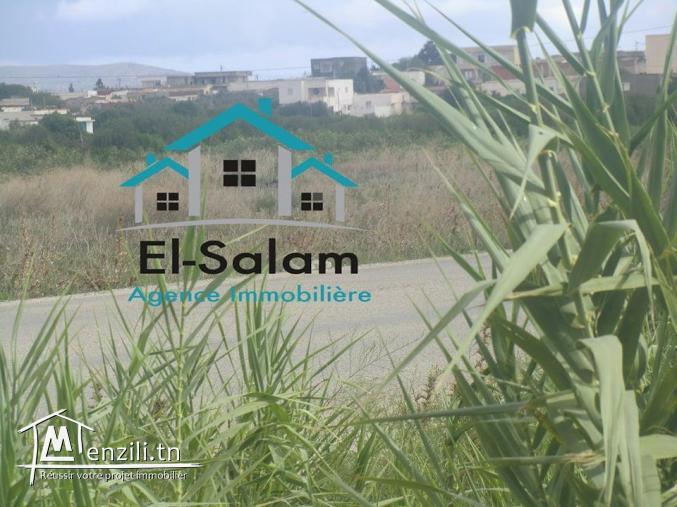 terrain dar allouch sur la goudrenée avenc un maison garaget et puits