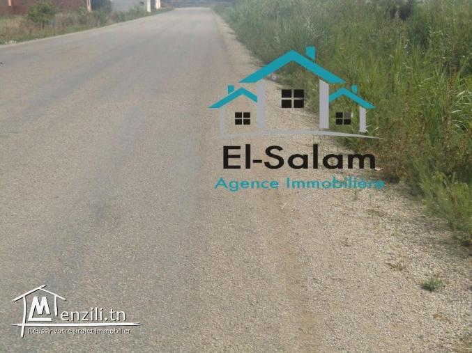 terrain dar allouch sur la goudrenée avenc un maison garaget et puits