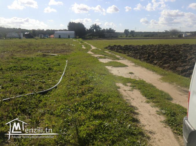 13500m2 terrain agricole