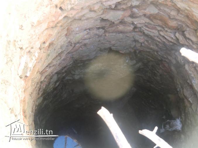 13500m2 terrain agricole