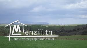 un terrain à Tamezrat vue panoramique