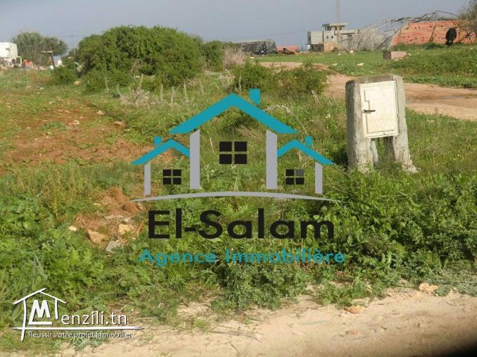 titre bleu individuelle vu sur mer