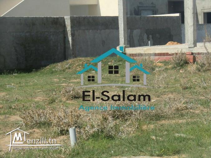 lottisement centre ville el hawaria