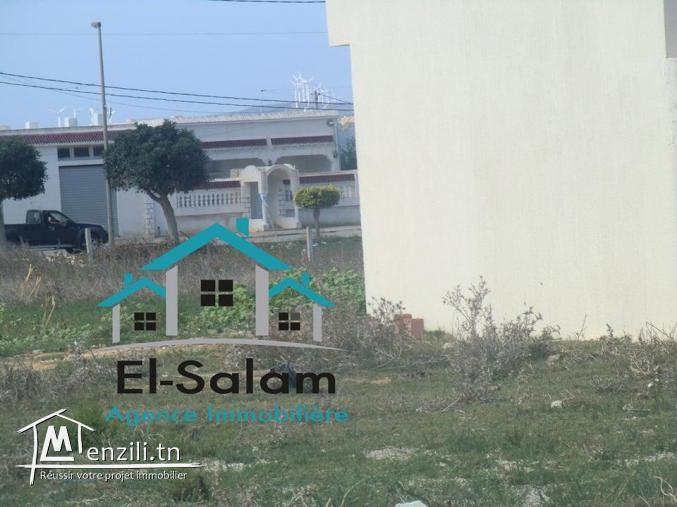 lottisement centre ville el hawaria