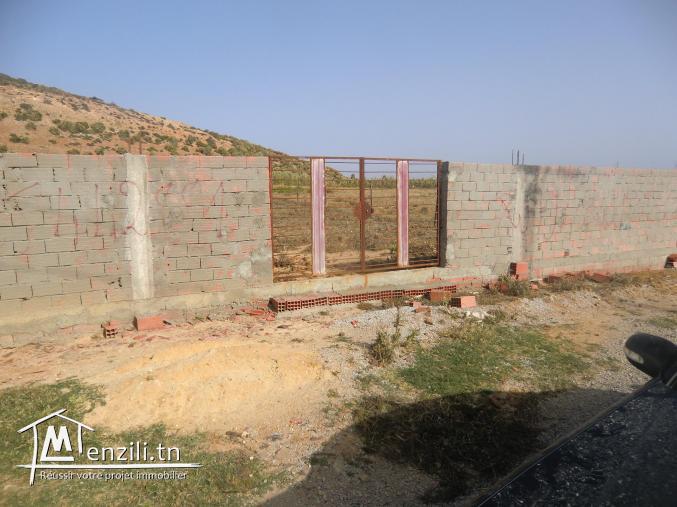 1000 1 ere position a la plage el hawaria