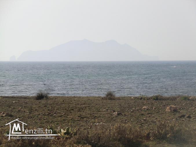 1000 1 ere position a la plage el hawaria