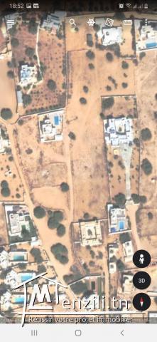 6 lot d'habitaion à TAZDAINE