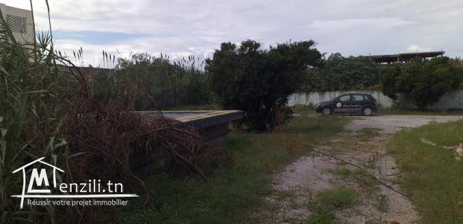 un terrain de 1500 m2