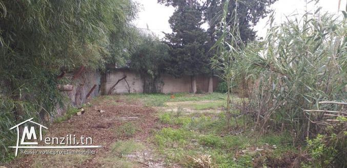 un terrain de 1500 m2