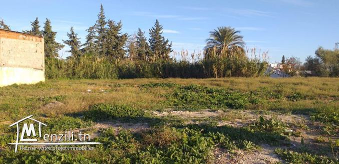 un terrain a ne pas rater