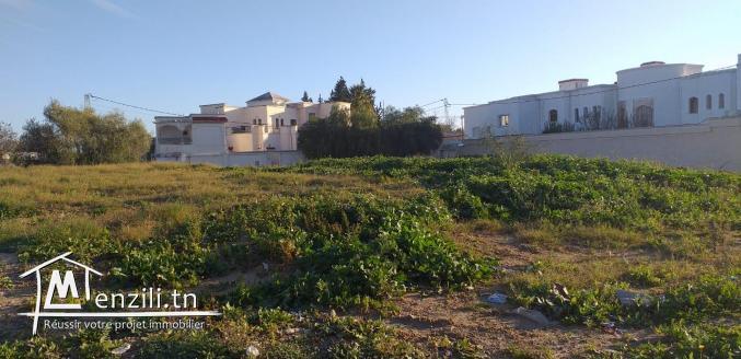 un terrain a ne pas rater