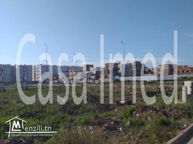 un terrain de 342 m2 à bourj louzir