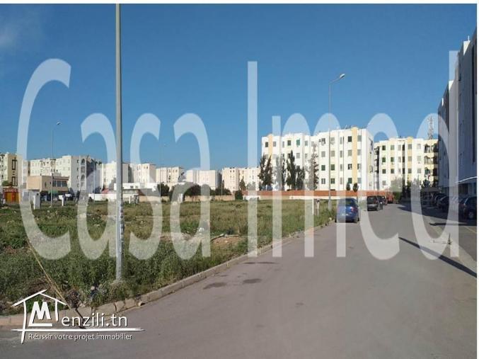 un terrain de 342 m2 à bourj louzir