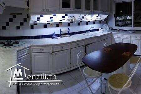 une villa  de 476 m² a vendre