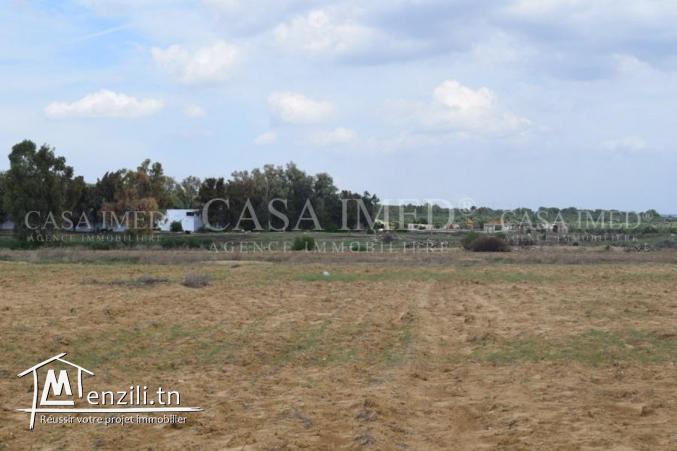 un terrain de 185 m2