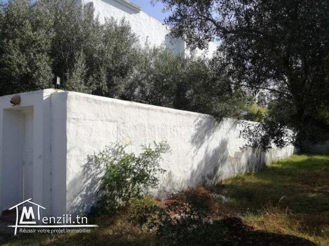 Terrain de 250m² à Hammamet Sud