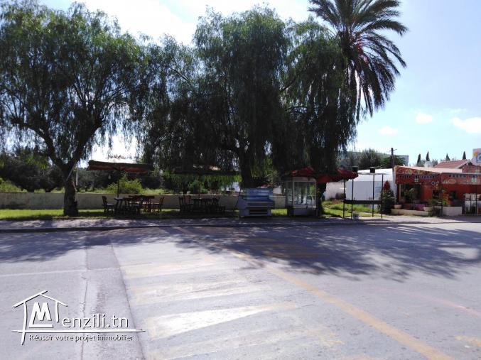 Terrain de 778m² à Hammamet Sud