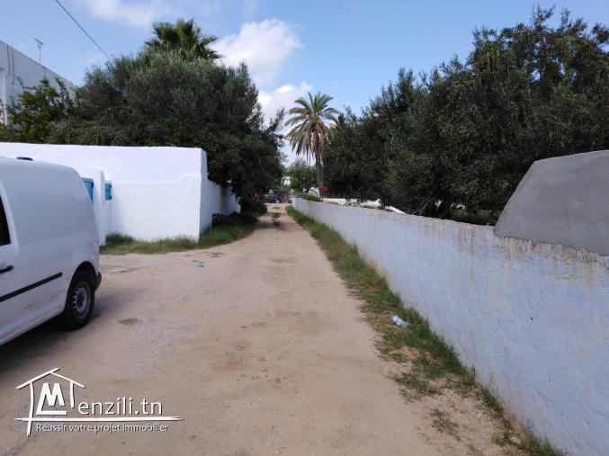 Terrain de 778m² à Hammamet Sud